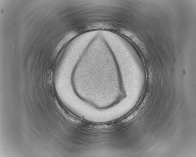 X0000070391233200607072211