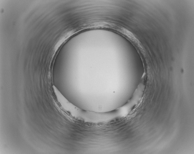 X0000070391234200607072211