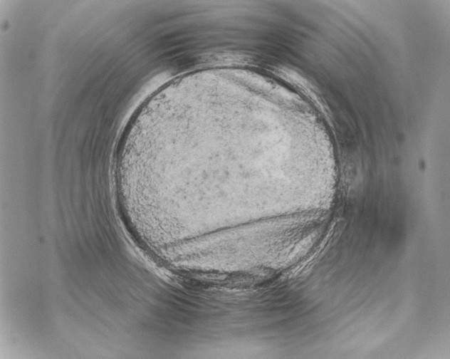 X0000070391235200607072211