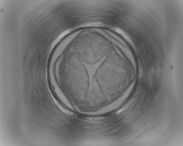 X0000070391237200607072211