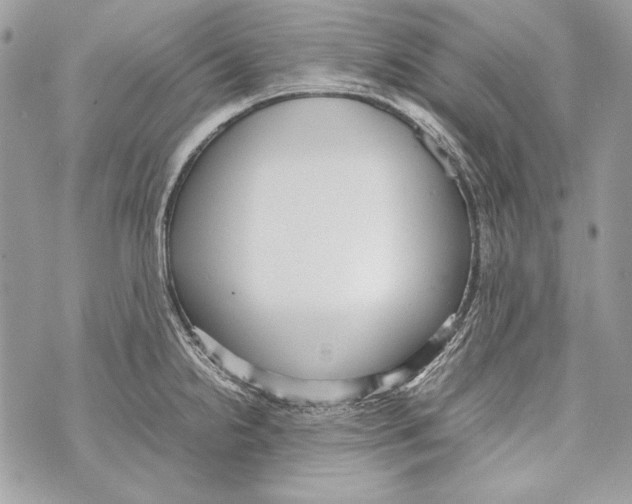 X0000070391238200607072211