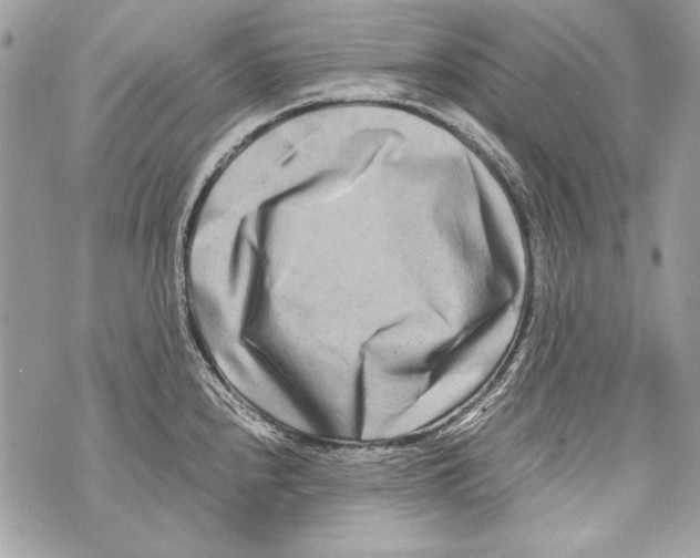 X0000070391240200607072211