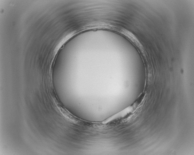 X0000070391242200607072211