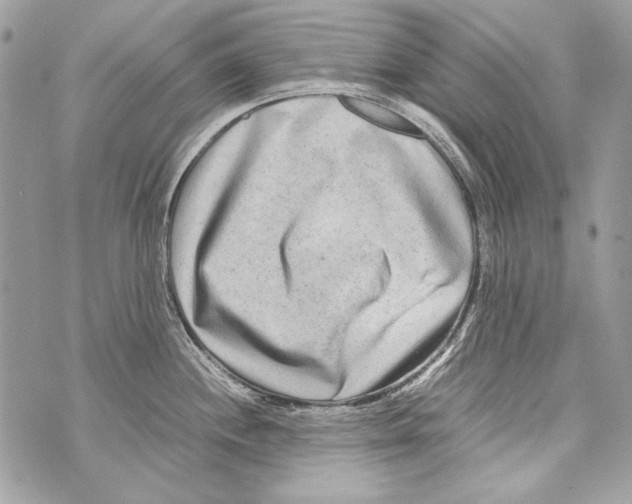 X0000070391244200607072211