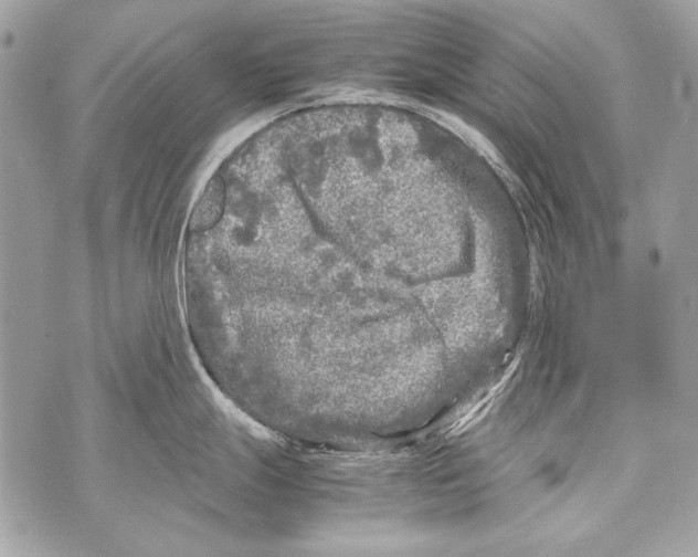 X0000070391247200607072211