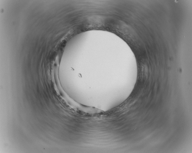 X0000070391250200607072210