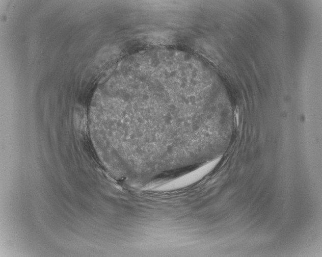 X0000070391251200607072210