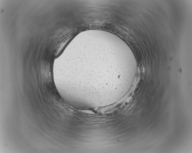 X0000070391252200607072210