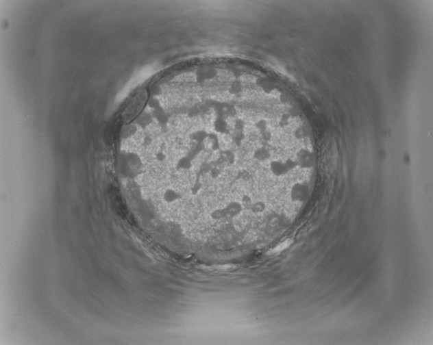 X0000070391255200607072210