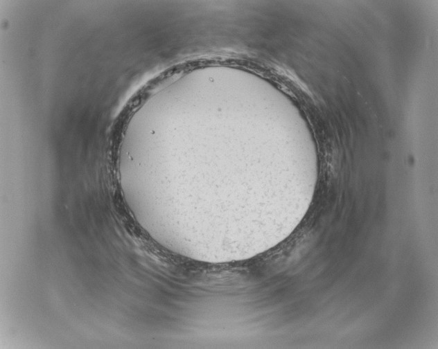 X0000070391256200607072210