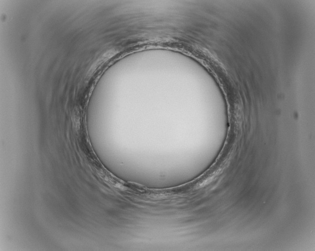 X0000070391257200607072210