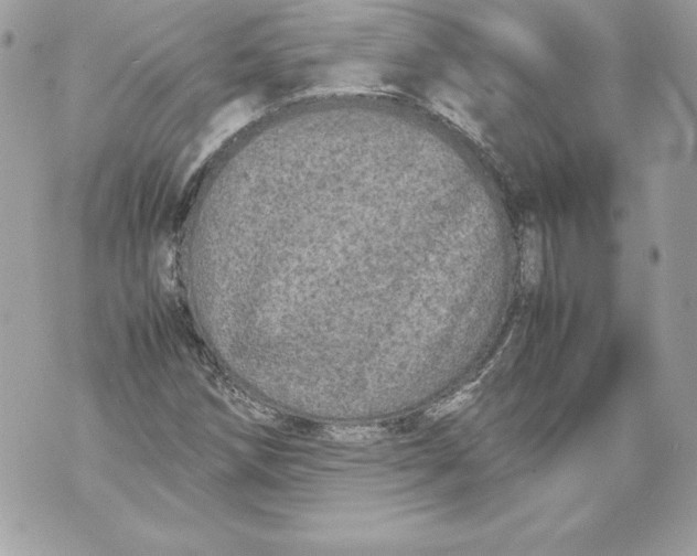 X0000070391258200607072210