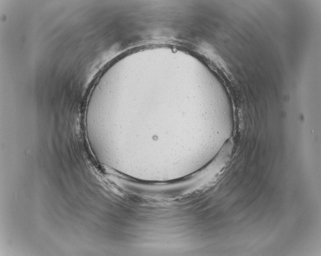 X0000070391260200607072210