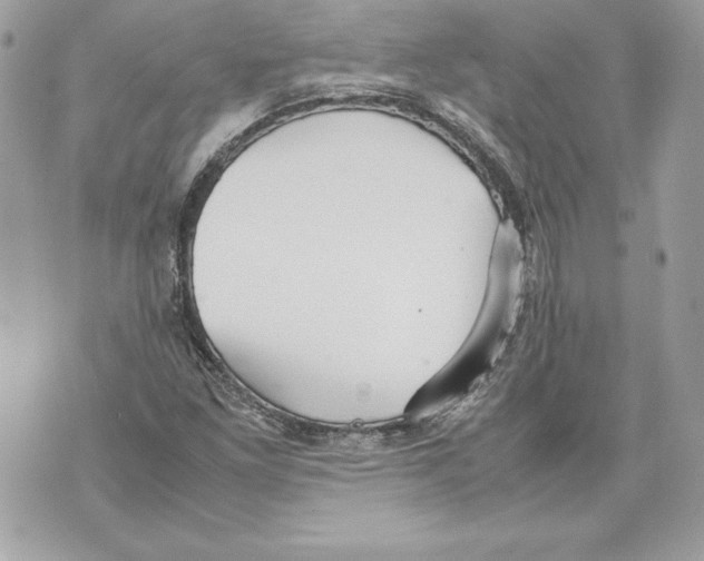 X0000070391261200607072210