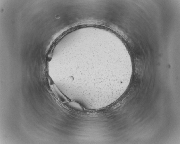 X0000070391264200607072210