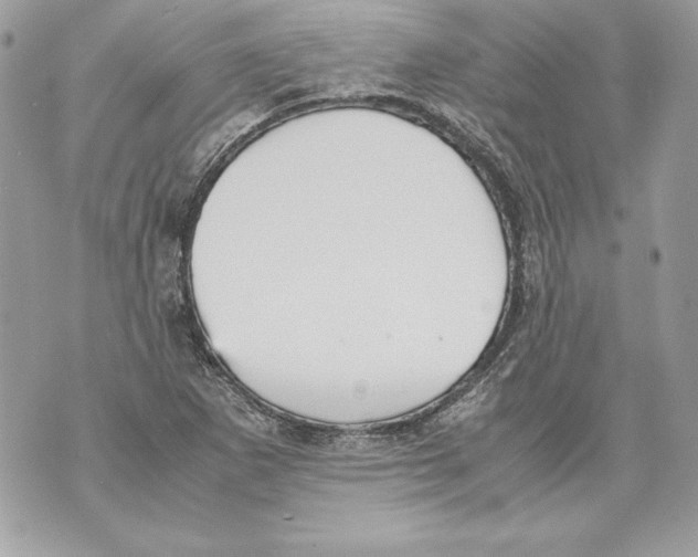 X0000070391265200607072210