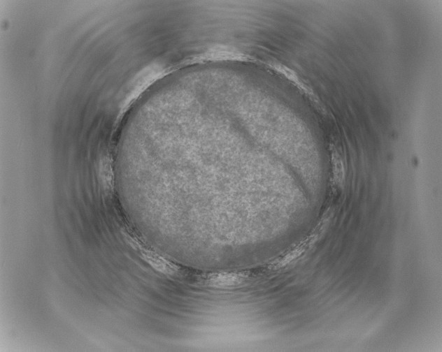 X0000070391266200607072210