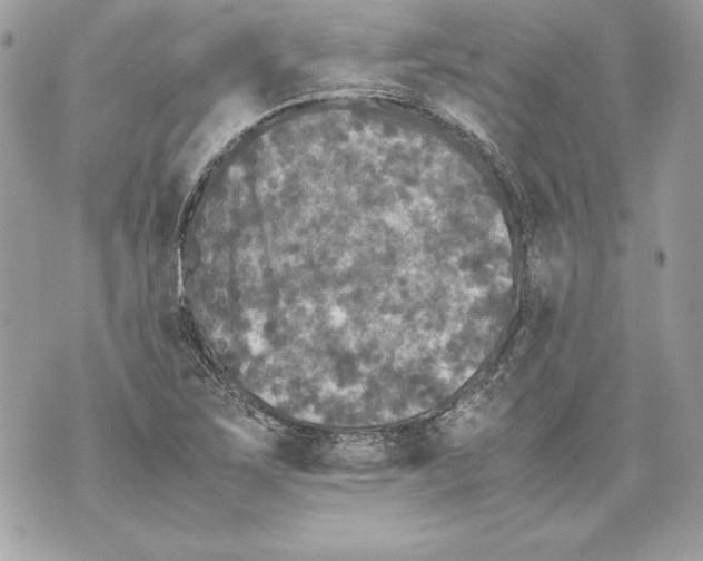 X0000070391267200607072210