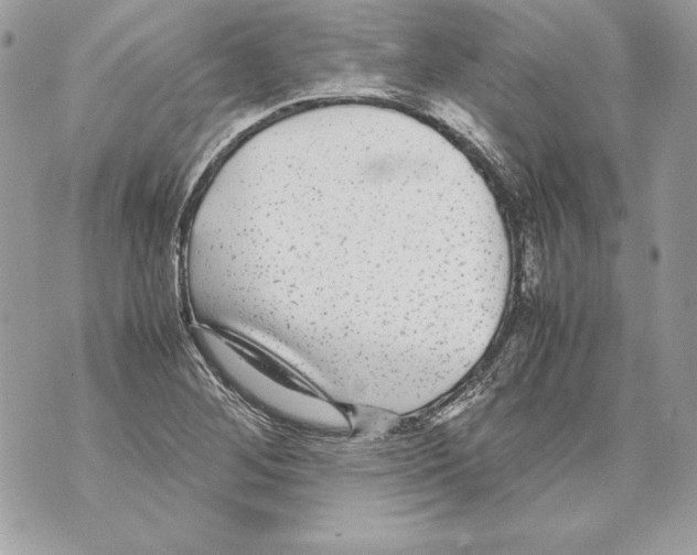 X0000070391268200607072210