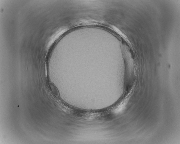 X0000070391269200607072210