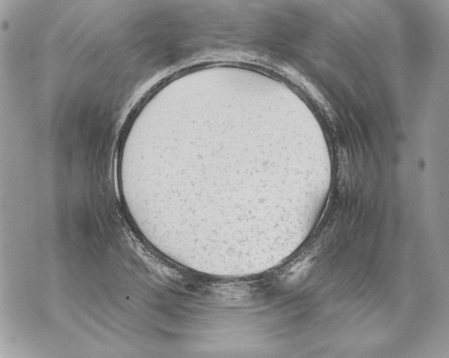 X0000070391272200607072210