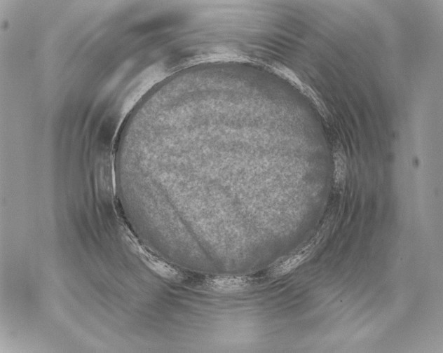 X0000070391274200607072210