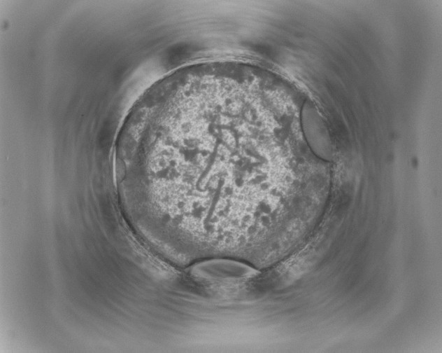 X0000070391275200607072210