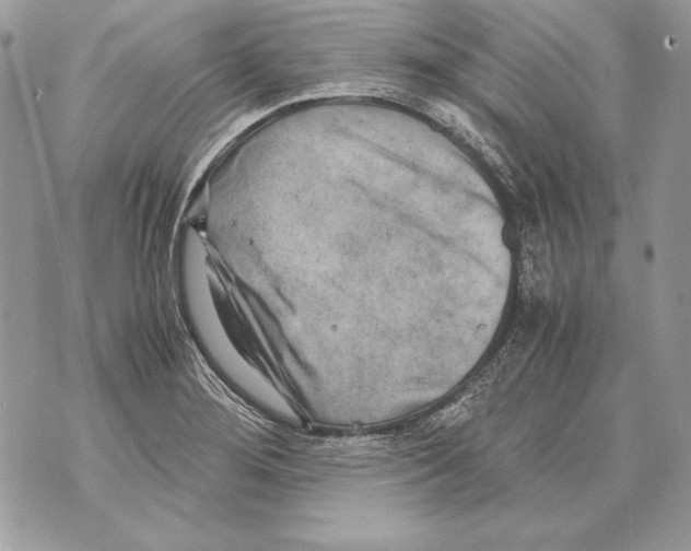 X0000070391276200607072210