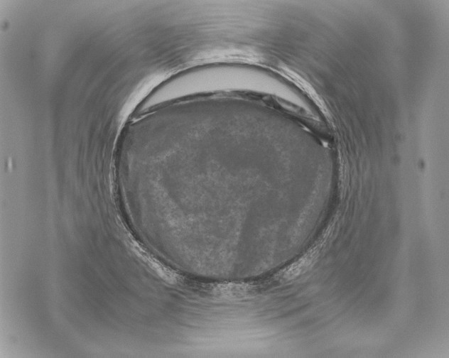 X0000070391277200607072210