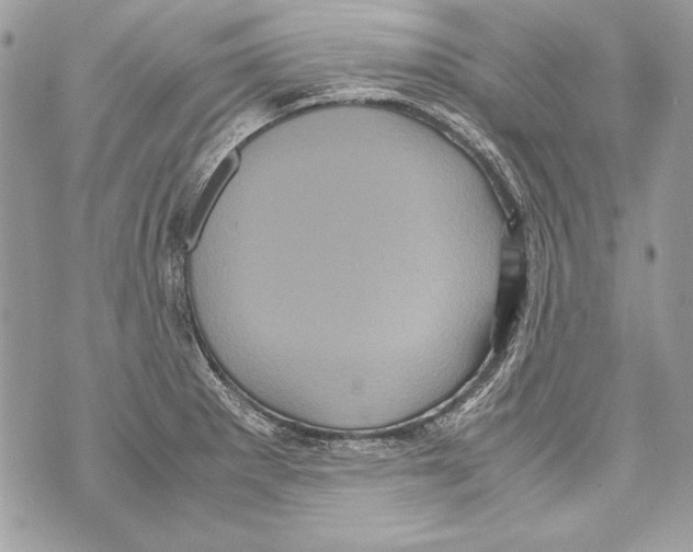 X0000070391281200607072210