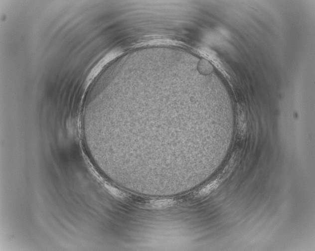 X0000070391282200607072210