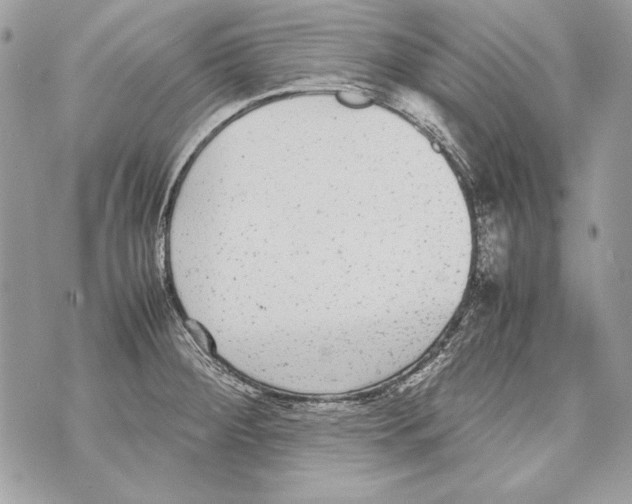 X0000070391284200607072210