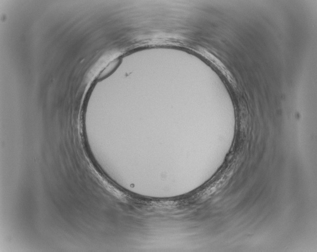 X0000070391285200607072210