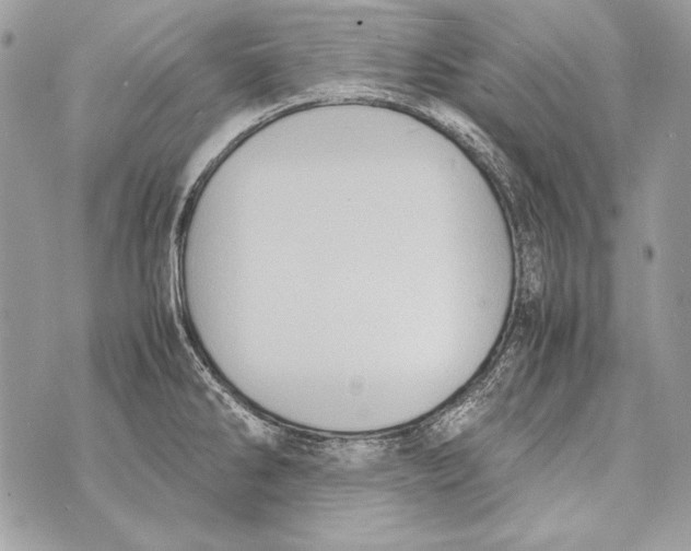 X0000070391286200607072210