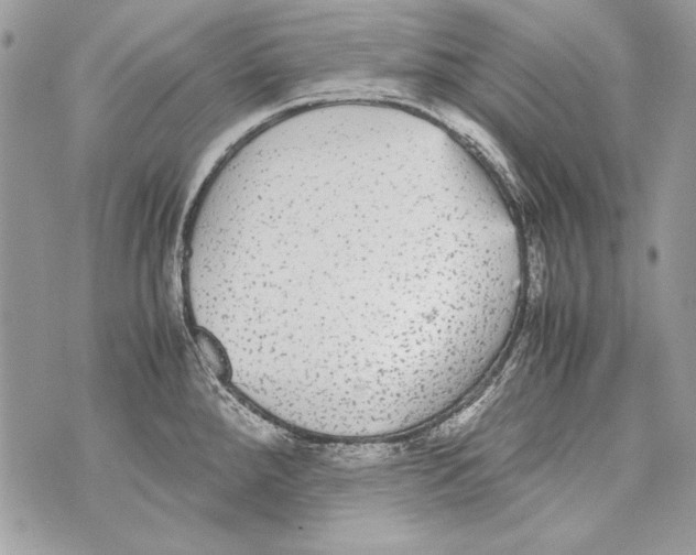 X0000070391288200607072210