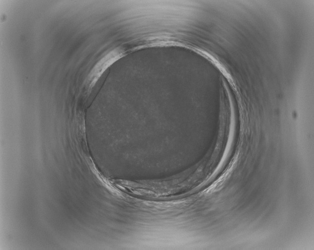 X0000070391289200607072210