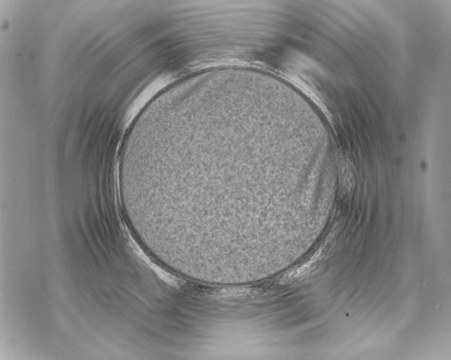 X0000070391290200607072210