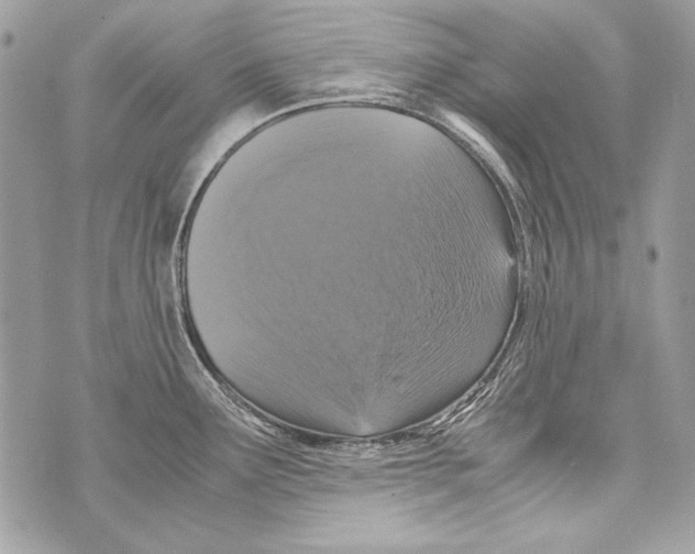 X0000070391291200607072210