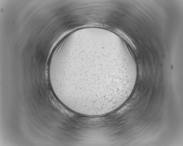 X0000070391292200607072210