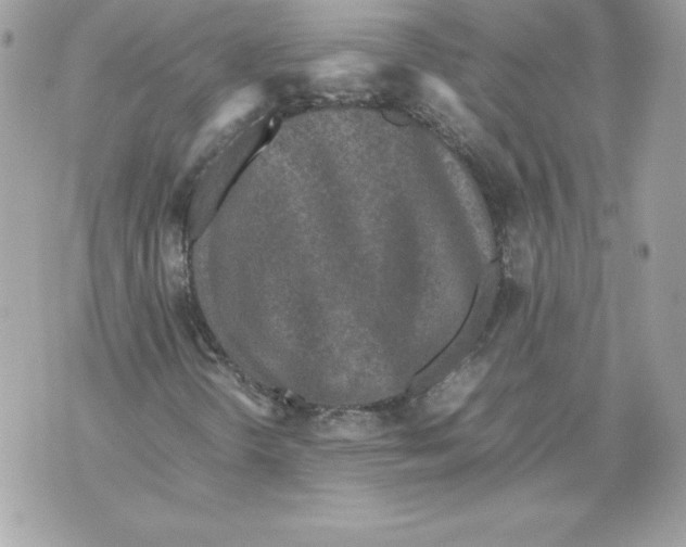 X0000070391298200607072209