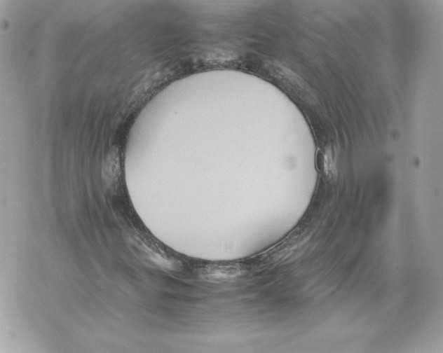 X0000070391299200607072209