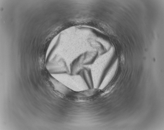 X0000070391300200607072209