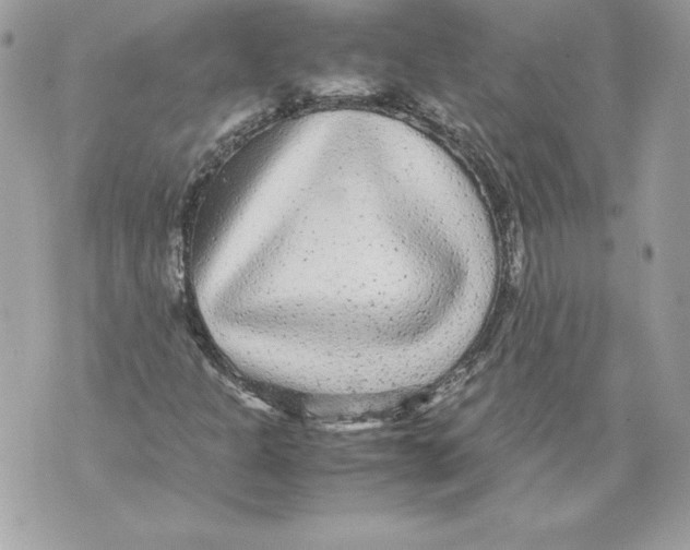 X0000070391301200607072209