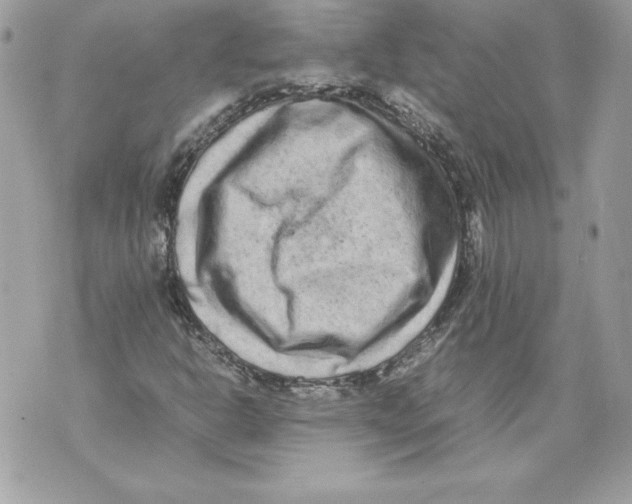 X0000070391302200607072209