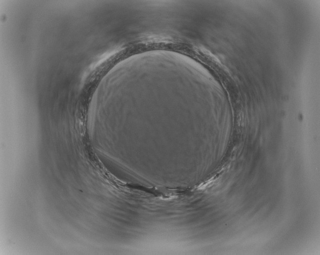 X0000070391303200607072209