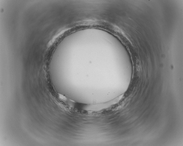 X0000070391304200607072209