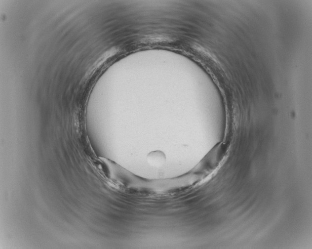 X0000070391305200607072209