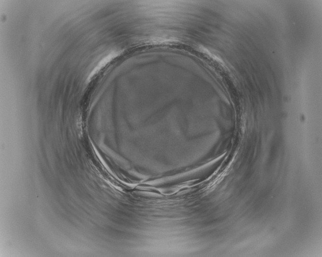 X0000070391306200607072209