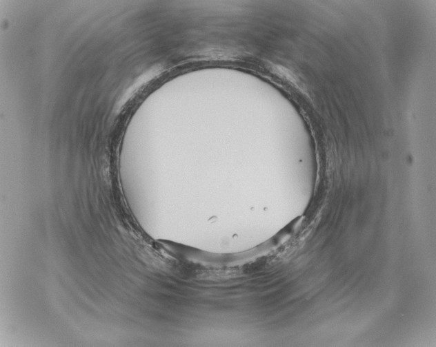 X0000070391307200607072209