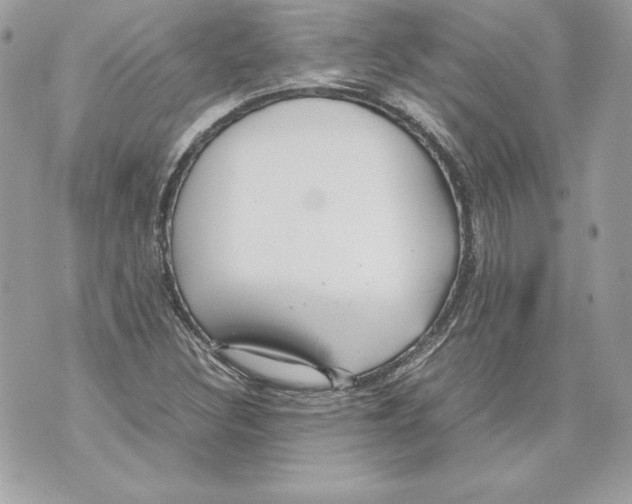 X0000070391308200607072209